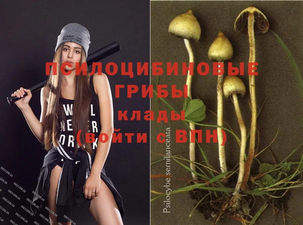 прущая мука Заволжье