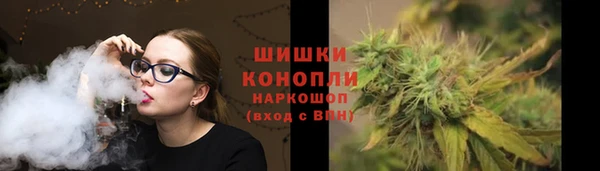 дмт Переславль-Залесский