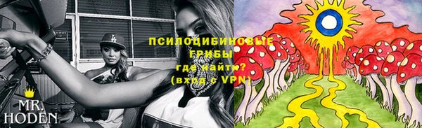 дмт Переславль-Залесский