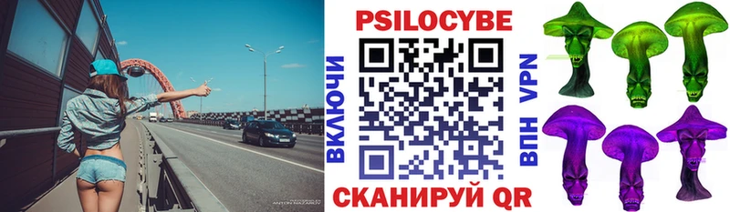 Галлюциногенные грибы Psilocybe  Донецк 